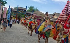 朝雪录电视剧40集全免费播放